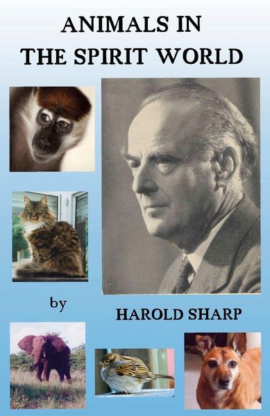 Produktbild: Animals in the Spirit World