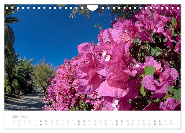 Produktbild: Sehnsucht nach Fuerteventura (Wandkalender 2026 DIN A4 quer), CALVENDO Monatskalender