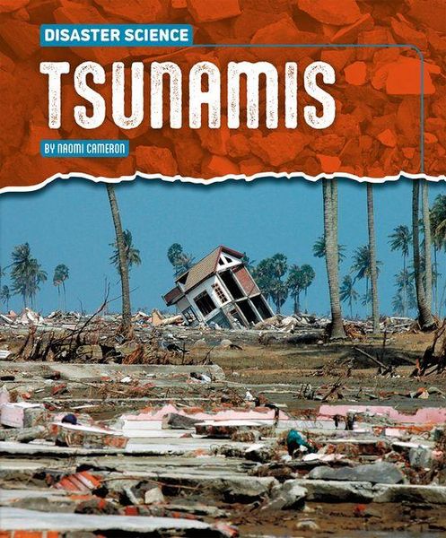Produktbild: Tsunamis