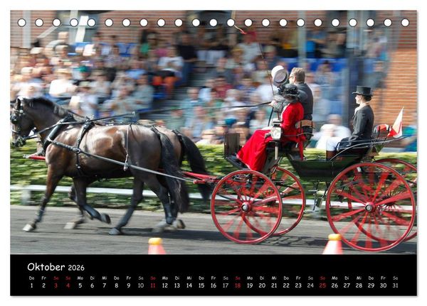 Produktbild: CIAT - Historischer Fahrsport in Celle (Tischkalender 2026 DIN A5 quer), CALVENDO Monatskalender