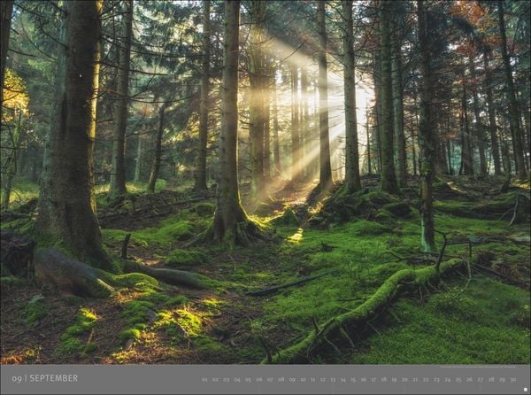 Produktbild: Deutsche Nationalparks - Edition Alexander von Humboldt Kalender 2026