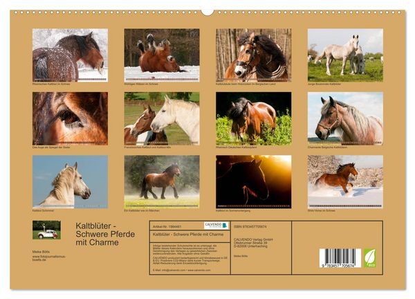 Produktbild: Kaltbl&uuml;ter - Schwere Pferde mit Charme (hochwertiger Premium Wandkalender 2026 DIN A2 quer), Kunstdruck in Hochglanz