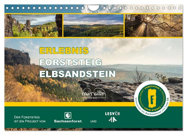 Erlebnis Forststeig Elbsandstein (Wandkalender 2025 DIN A4 quer), CALVENDO Monatskalender