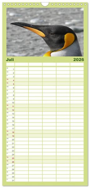 Produktbild: Familienplaner 2026 - Pinguine - Watscheln im festlichen Kleid mit 5 Spalten (Wandkalender, 21 x 45 cm) CALVENDO