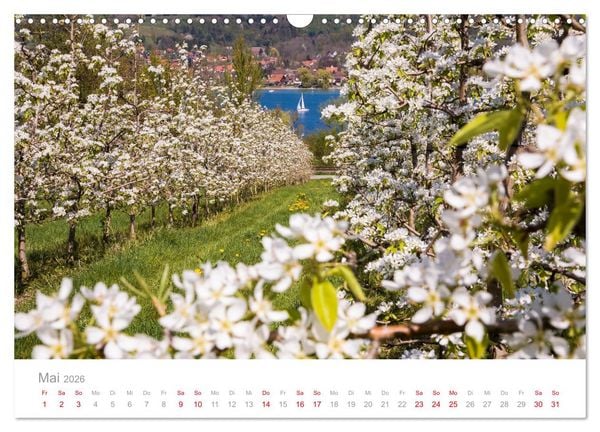 Produktbild: BODENSEE Drei L&auml;nder - ein See (Wandkalender 2026 DIN A3 quer), CALVENDO Monatskalender