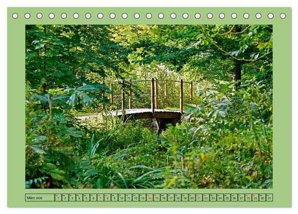 Produktbild: Faszination Stadtpark Odense (Tischkalender 2026 DIN A5 quer), CALVENDO Monatskalender