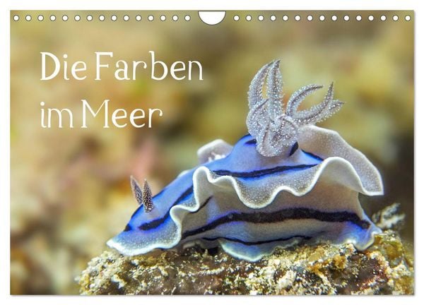 Die Farben im Meer (Wandkalender 2026 DIN A4 quer), CALVENDO Monatskalender