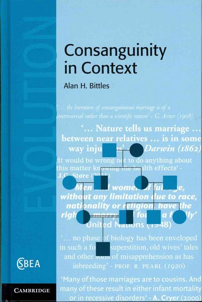 Produktbild: Consanguinity in Context