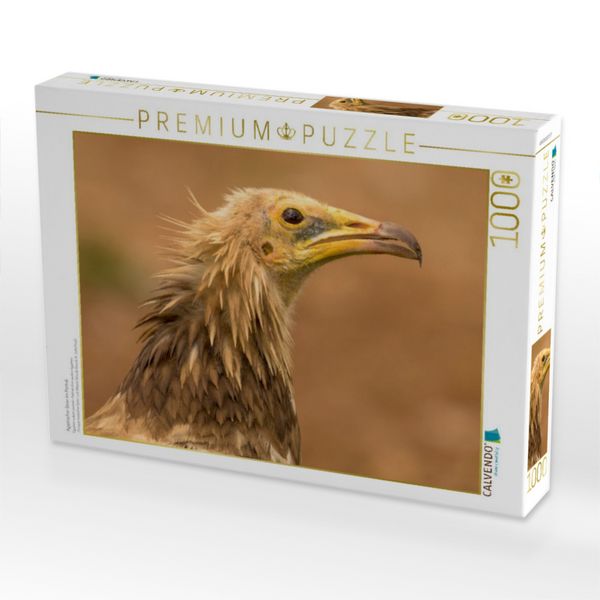 Produktbild: CALVENDO Puzzle &Auml;gyptischer Geier im Portr&auml;t | 1000 Teile Lege-Gr&ouml;&szlig;e 64x48cm Foto-Puzzle f&uuml;r gl&uuml;ckliche Stunden