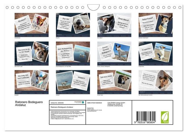 Produktbild: Ratonero Bodeguero Andaluz (Wandkalender 2026 DIN A4 quer), CALVENDO Monatskalender