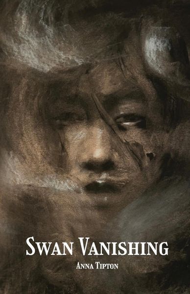 Produktbild: Swan Vanishing