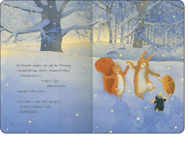 Produktbild: Was glitzert da im Schnee?