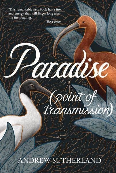 Produktbild: Paradise (Point of Transmission)