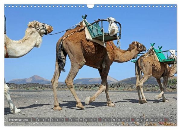 Produktbild: Urlaub auf Lanzarote (Wandkalender 2026 DIN A3 quer), CALVENDO Monatskalender