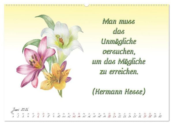 Produktbild: 12 unterhaltsame Zitate f&uuml;r ein sch&ouml;nes Jahr (hochwertiger Premium Wandkalender 2026 DIN A2 quer), Kunstdruck in Hochglanz