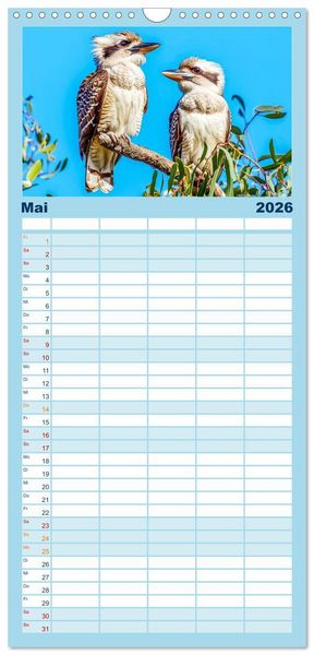 Produktbild: Familienplaner 2026 - Der Kookaburra - Im australischen Busch mit dem lachenden Hans mit 5 Spalten (Wandkalender, 21 x 45 cm) CALVENDO