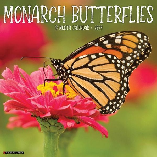 Produktbild: Willow Creek Press: Monarch Butterflies 2024 12 X 12 Wall Ca
