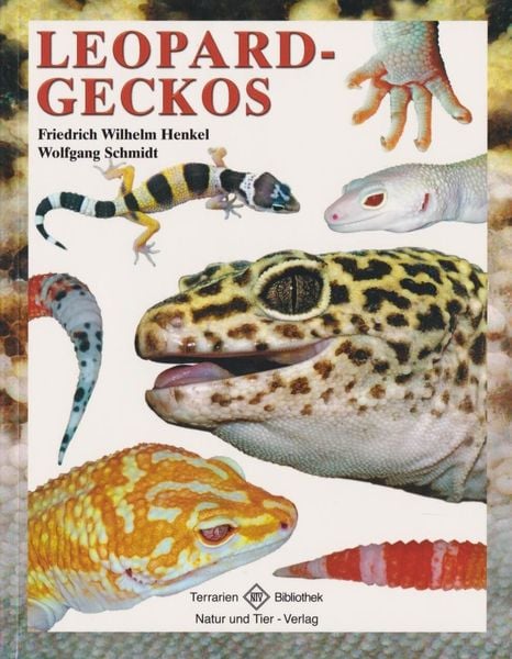 Produktbild: Leopardgeckos
