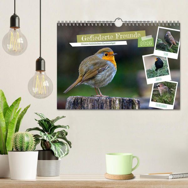 Produktbild: Gefiederte Freunde - Unsere heimischen Gartenv&ouml;gel (Wandkalender 2026 DIN A4 quer), CALVENDO Monatskalender