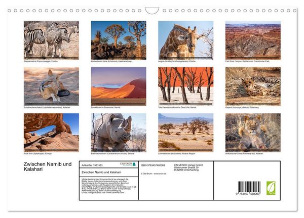 Produktbild: Zwischen Namib und Kalahari (Wandkalender 2026 DIN A3 quer), CALVENDO Monatskalender