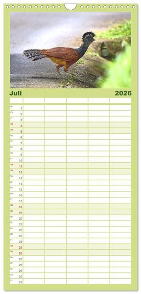 Produktbild: Familienplaner 2026 - Costa Ricas gefiederte Pracht mit 5 Spalten (Wandkalender, 21 x 45 cm) CALVENDO