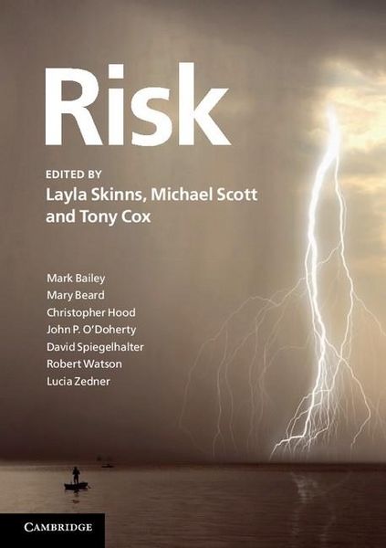 Produktbild: Risk