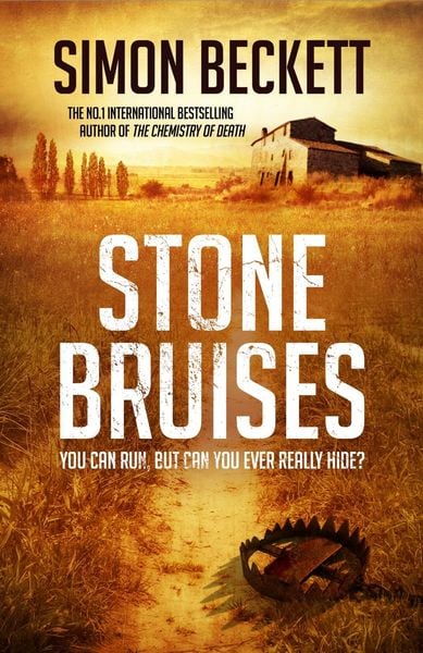 Produktbild: Beckett, S: Stone Bruises