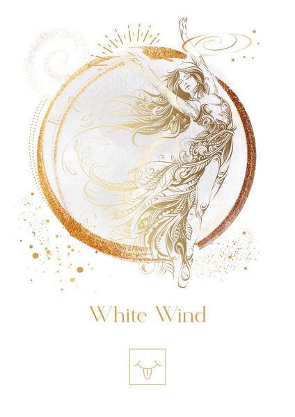 Produktbild: Maya Astro Cards: 44 astrological oracle cards with booklet