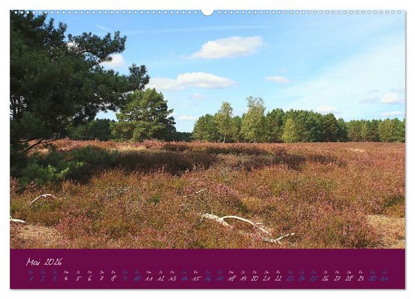 Produktbild: Die Nemitzer Heide - Im Wendland unterwegs (Wandkalender 2026 DIN A2 quer), CALVENDO Monatskalender