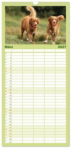 Produktbild: Familienplaner 2027 - Nova Scotia Duck Tolling Retriever mit 5 Spalten (Wandkalender, 21 x 45 cm) CALVENDO