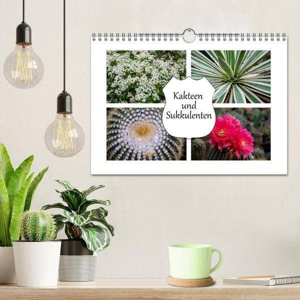 Produktbild: Kakteen und Sukkulenten (Wandkalender 2026 DIN A4 quer), CALVENDO Monatskalender