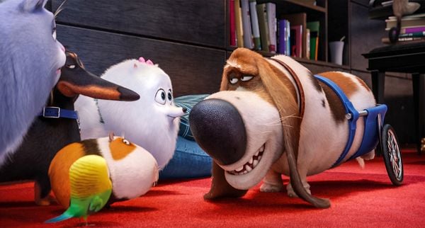 Pets (3D)