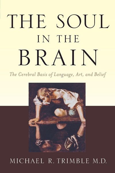 Produktbild: The Soul in the Brain