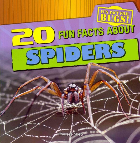 Produktbild: 20 Fun Facts Abt Spiders