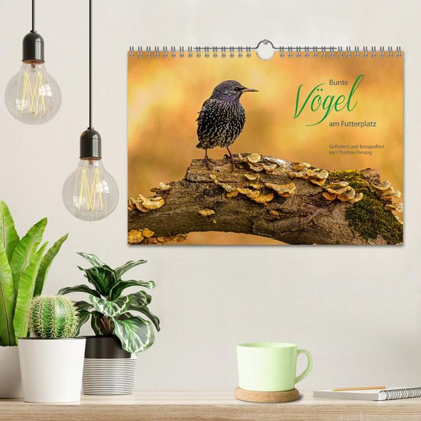 Produktbild: Bunte V&ouml;gel am Futterplatz (Wandkalender 2026 DIN A4 quer), CALVENDO Monatskalender