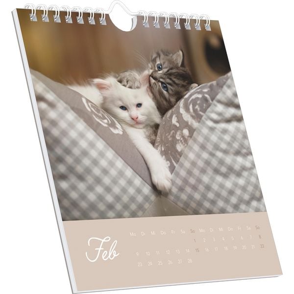 Produktbild: Kleine Samtpfötchen 2026 - Postkartenkalender 16x17 cm - Katzen - zum Aufstellen oder Aufhängen - Monatskalendarium - Gadget - Mitbringsel - Alpha Edi