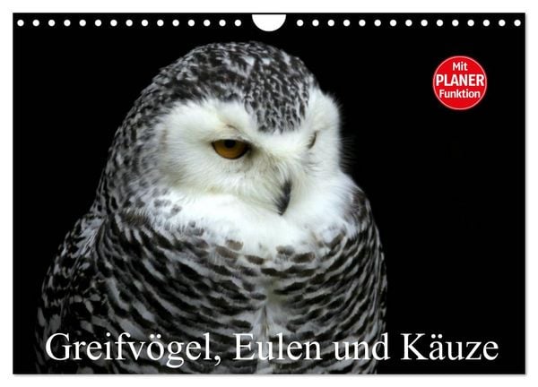 Produktbild: Greifv&ouml;gel, Eulen und K&auml;uze (Wandkalender 2026 DIN A4 quer), CALVENDO Monatskalender