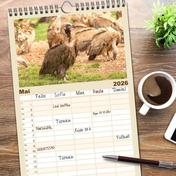 Produktbild: Familienplaner 2026 - Die Geier sind los mit 5 Spalten (Wandkalender, 21 x 45 cm) CALVENDO