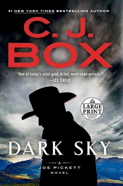 Produktbild: Dark Sky