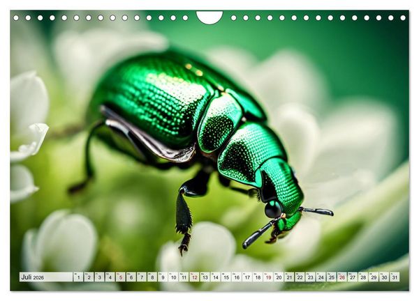Produktbild: Filigrane Insekten (Wandkalender 2026 DIN A4 quer), CALVENDO Monatskalender