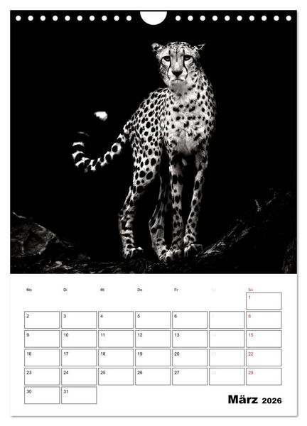Produktbild: Charakterk&ouml;pfe aus der Welt der Tiere (Wandkalender 2026 DIN A4 hoch), CALVENDO Monatskalender