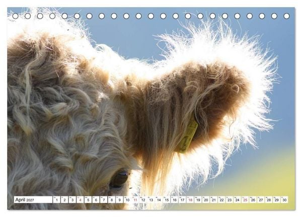 Produktbild: Unteremmental (Tischkalender 2027 DIN A5 quer), CALVENDO Monatskalender