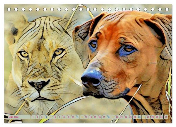 Produktbild: Rhodesian Ridgeback der Hund mit dem Tropfen L&ouml;wenblut (Tischkalender 2026 DIN A5 quer), CALVENDO Monatskalender