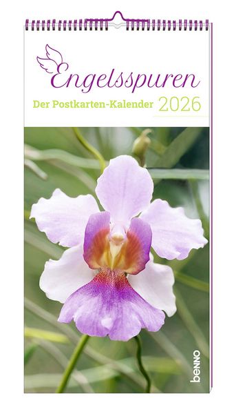 Produktbild: Engelsspuren 2026