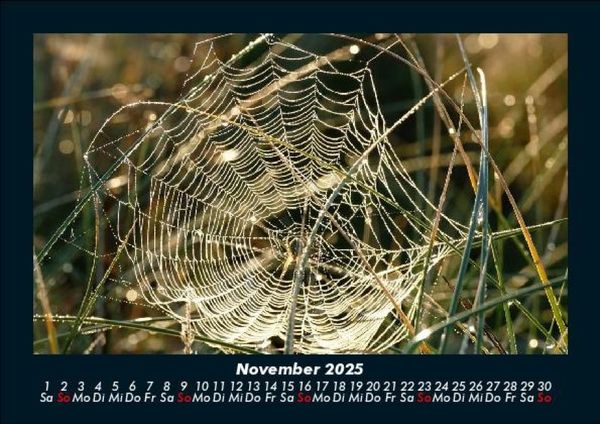 Produktbild: Natur 2025 Fotokalender DIN A5