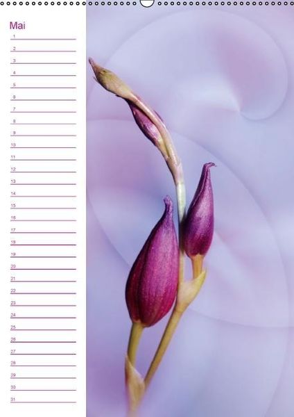 Produktbild: Bl&uuml;tentr&auml;ume Geburtstagskalender (Wandkalender immerw&auml;hrend DIN A2 hoch)