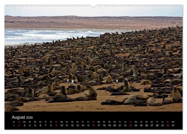 Produktbild: Namibia - Sch&ouml;ne Ansichten (Wandkalender 2026 DIN A2 quer), CALVENDO Monatskalender
