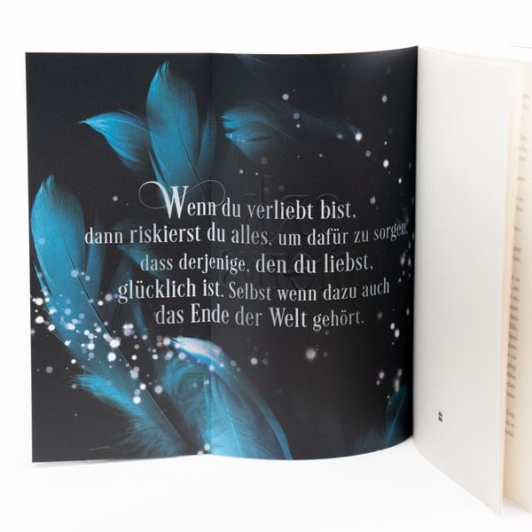 Produktbild: Dark Elements 1 - Steinerne Schwingen