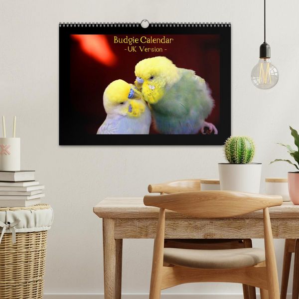 Produktbild: Budgie Calendar - UK Version (Wall Calendar 2026 DIN A3 landscape), CALVENDO 12 Month Wall Calendar
