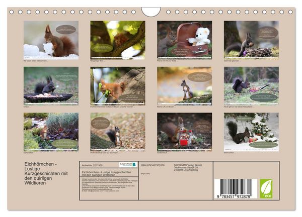 Produktbild: Eichh&ouml;rnchen - Lustige Kurzgeschichten mit den quirligen Wildtieren (Wandkalender 2026 DIN A4 quer), CALVENDO Monatskalender